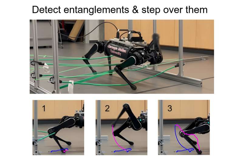 Сложные переплетения: роботы учатся ориентироваться в растительности, похожей на виноградную лозу
